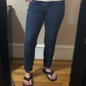 J. Jill Crop Jeans